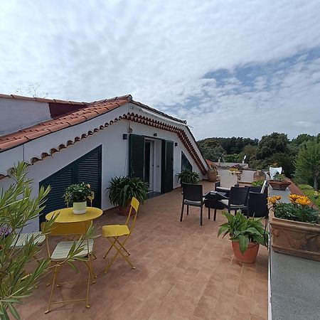 Casa Olivella Διαμέρισμα Τόρρε ντελ Γκρέκο Εξωτερικό φωτογραφία