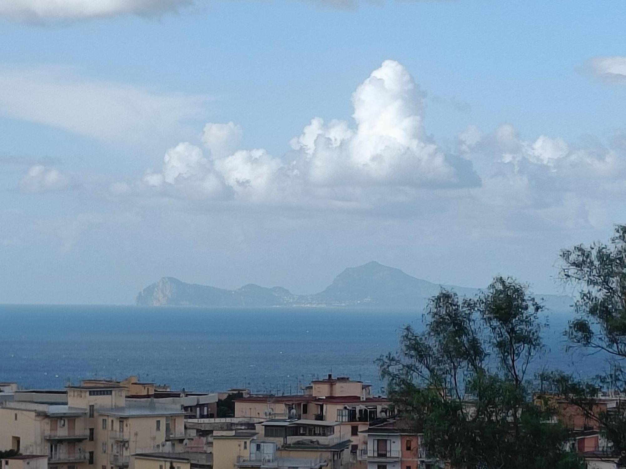 Casa Olivella Διαμέρισμα Τόρρε ντελ Γκρέκο Εξωτερικό φωτογραφία