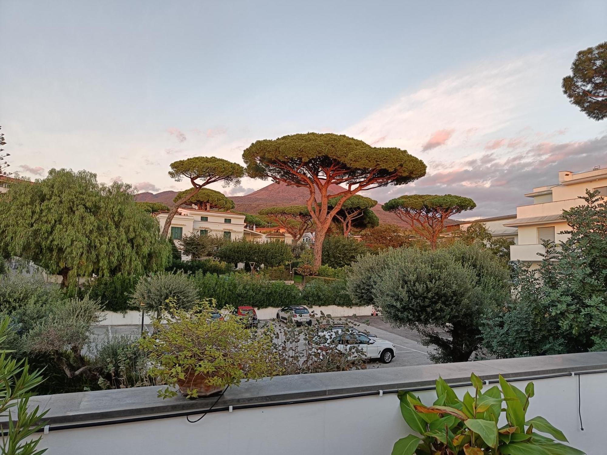 Casa Olivella Διαμέρισμα Τόρρε ντελ Γκρέκο Εξωτερικό φωτογραφία