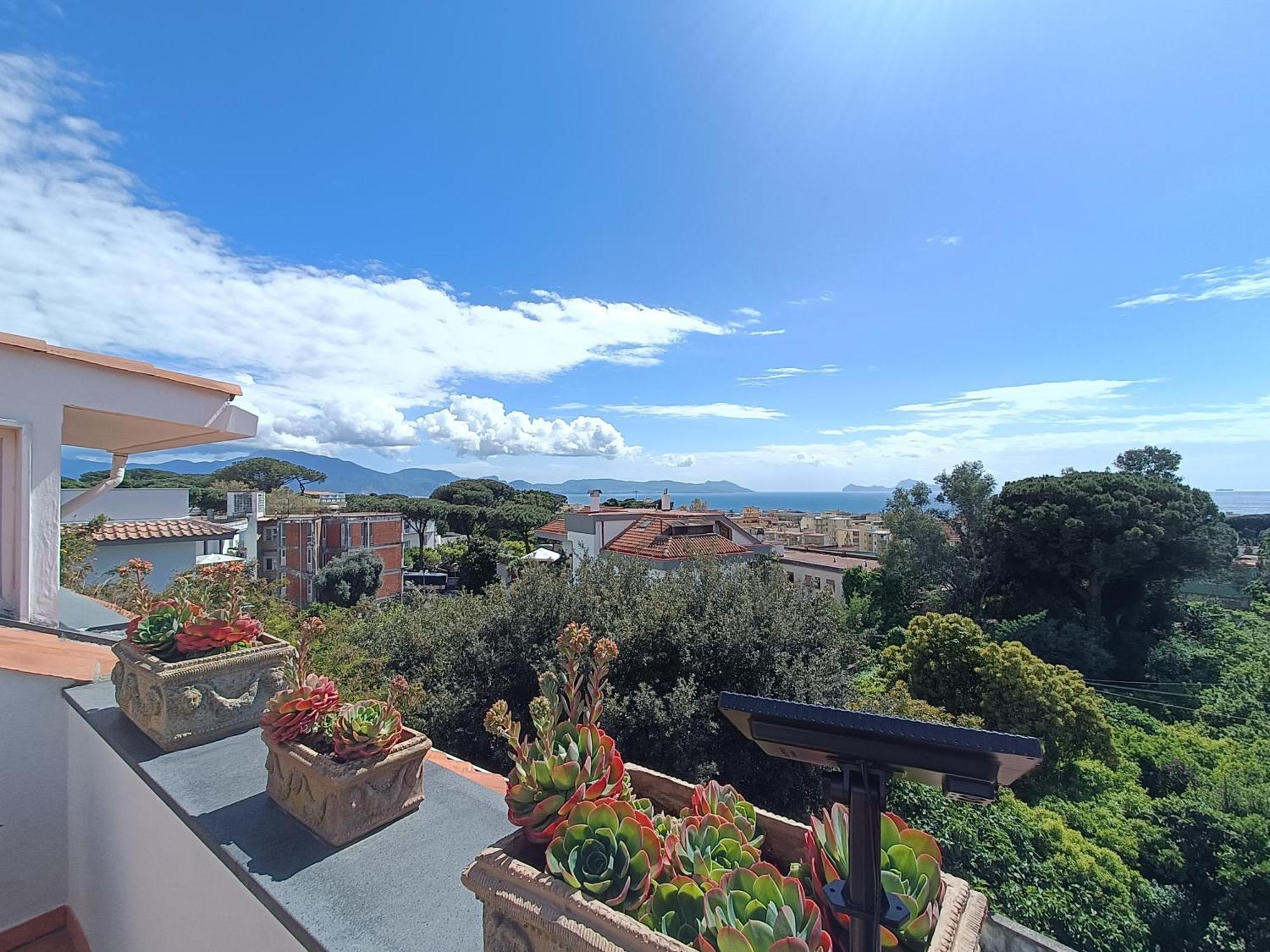 Casa Olivella Διαμέρισμα Τόρρε ντελ Γκρέκο Εξωτερικό φωτογραφία