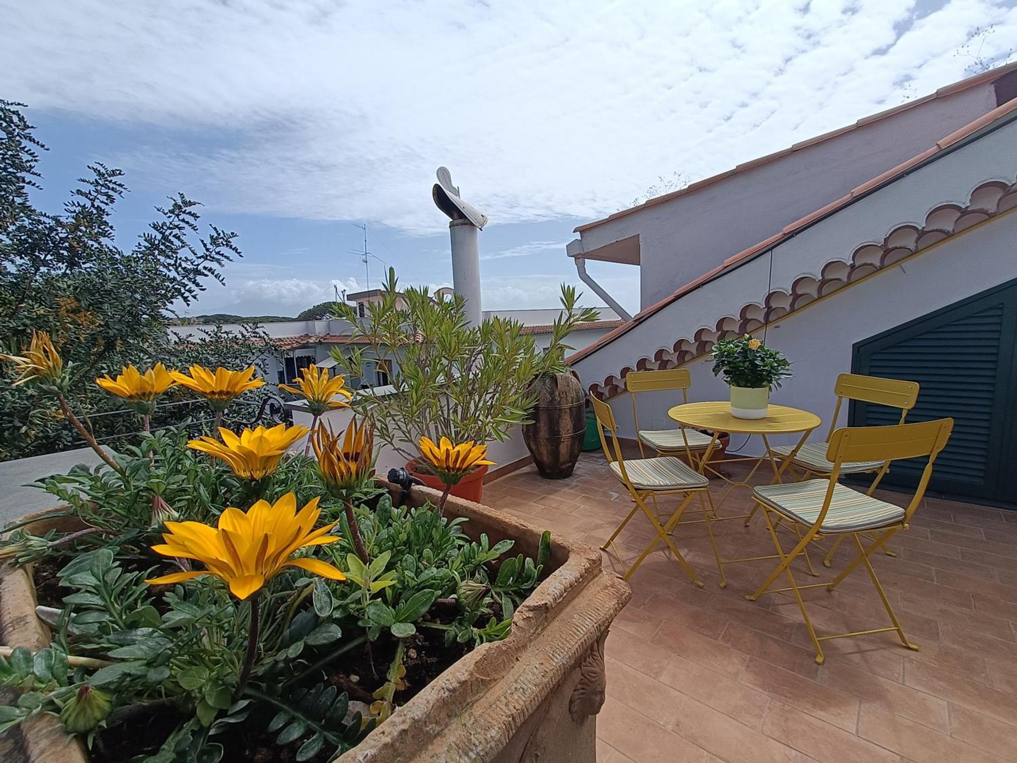 Casa Olivella Διαμέρισμα Τόρρε ντελ Γκρέκο Εξωτερικό φωτογραφία