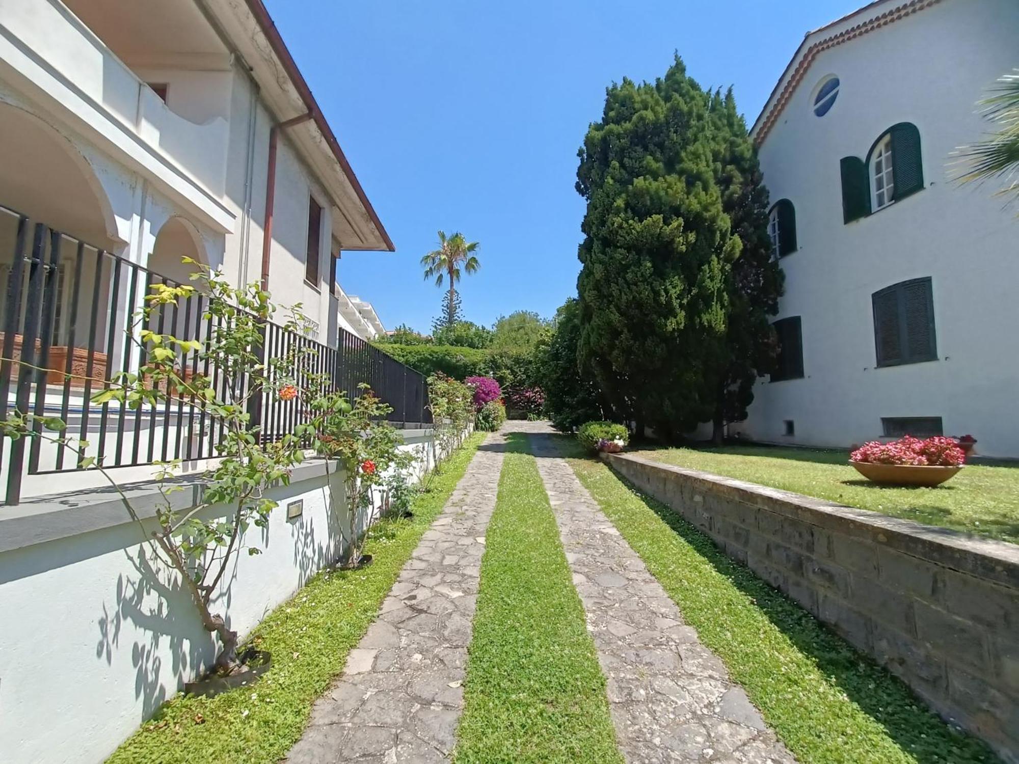 Casa Olivella Διαμέρισμα Τόρρε ντελ Γκρέκο Εξωτερικό φωτογραφία