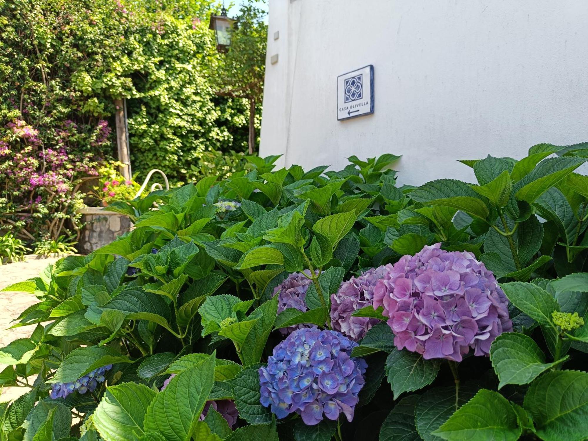 Casa Olivella Διαμέρισμα Τόρρε ντελ Γκρέκο Εξωτερικό φωτογραφία